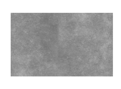 Paradise Area Rug