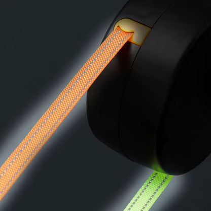 Famous Luxe™ DuoControl Leash