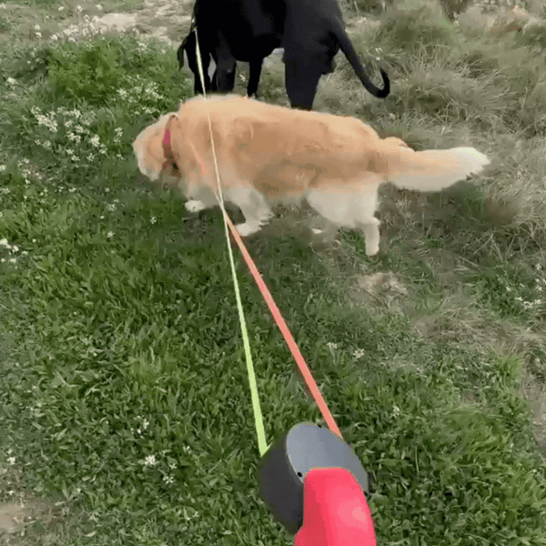 Duo Tangle-Free Dog Walking Leash